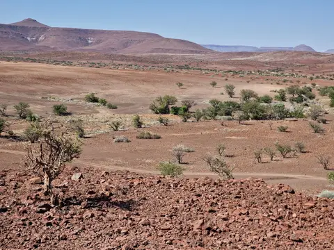 20240422_151245.jpg