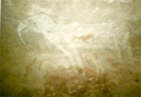 h7553bcf.jpg