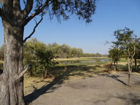 DSC08256.JPG