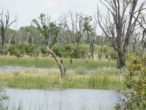 003-ParkunterWasser.JPG
