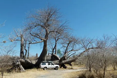 2010.0143.1NAMTsumkwe-Kaudom.jpg