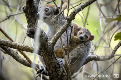 Madagaskar_0069.jpg