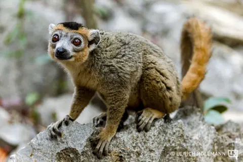 Madagaskar_0070.jpg