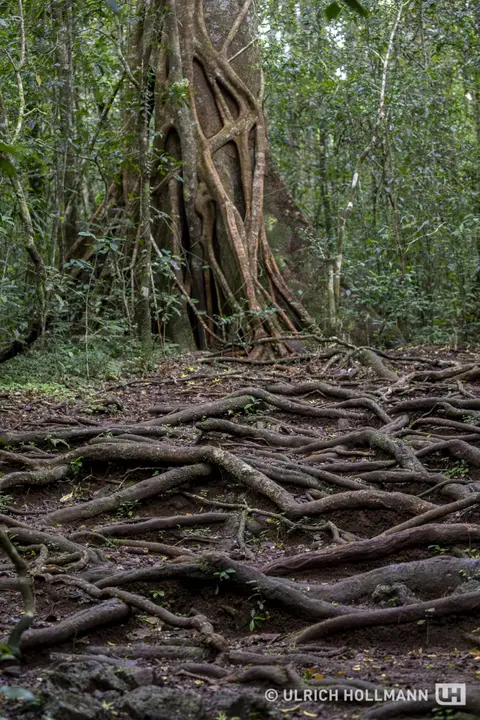 Madagaskar_0159.jpg