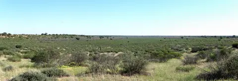 06.01KaaGameViewingTrail07.jpg