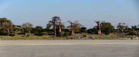 17.02AbendstimmungKubuIsland11.jpg