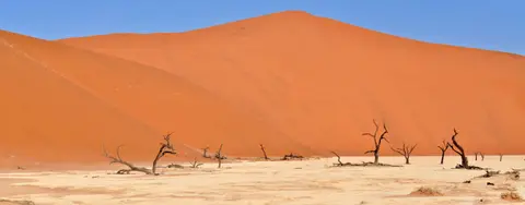 20.04DeadvleiundUmgebung21.jpg