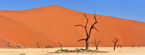 20.04DeadvleiundUmgebung25.jpg
