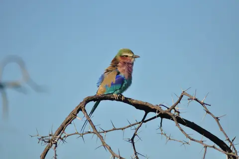 DSC_6214.JPG