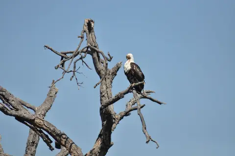 DSC_6278.JPG