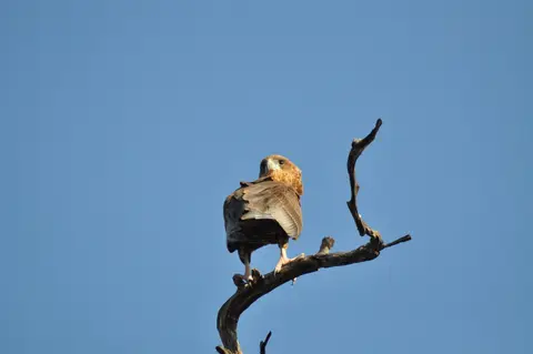DSC_6422.JPG