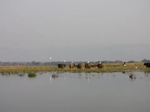 IMG_2809.jpg