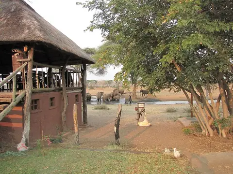 h2759128.JPG