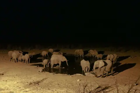 etosha-10-scaled.jpg