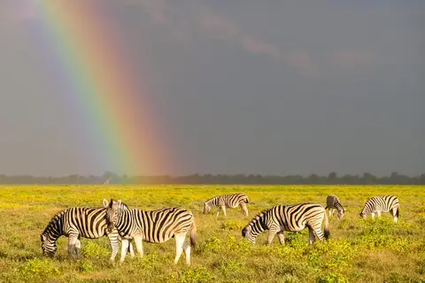 etosha-4.jpg