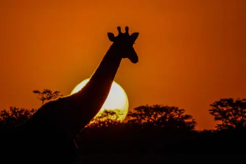 etosha_2023-03(1).jpg