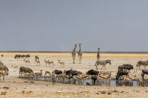 namibia2025_366.jpg