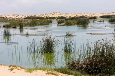 skelettküste-54.jpg