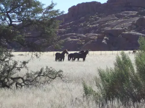Afrika201101065.jpg
