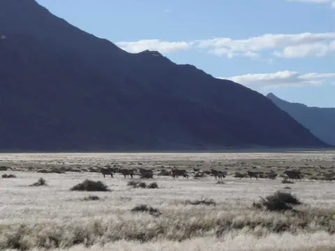 Afrika201101106.jpg