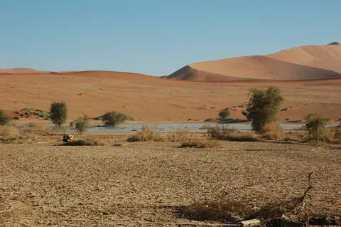 Afrika201101111.jpg