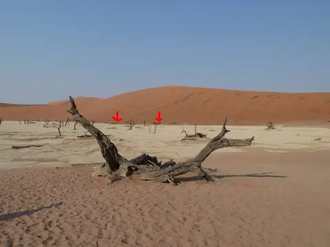 NF001.jpg
