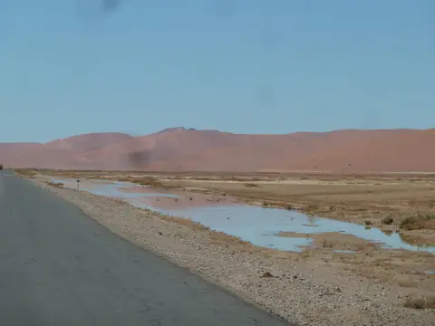 NF003.jpg
