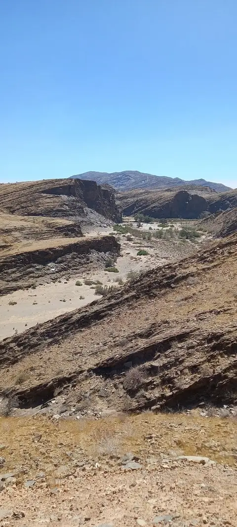 20230825_120154.jpg