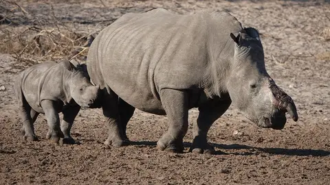 DSC00324.JPG