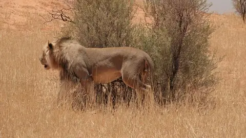 DSC03045.JPG