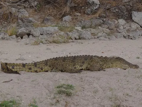 DSC03165.JPG