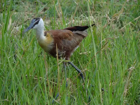 DSC03313.JPG