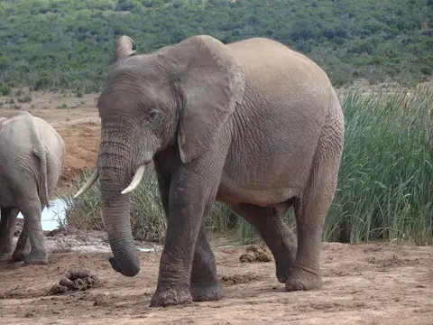 DSC05647.JPG