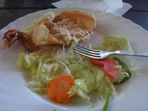 DSC05890.JPG