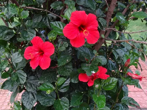 DSC08044.JPG