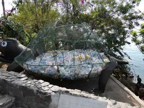 P1000362.JPG