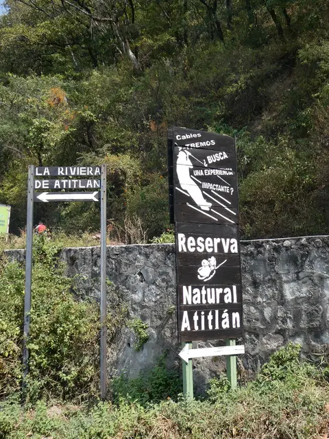 P1000443.JPG