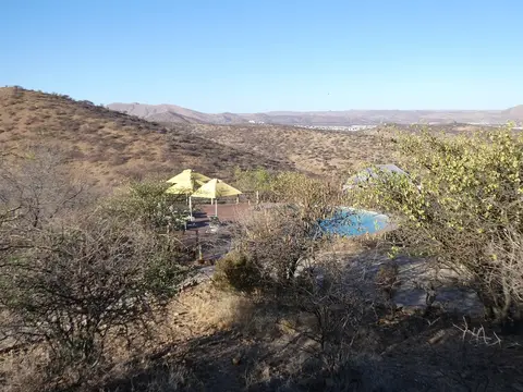 P1012571.JPG
