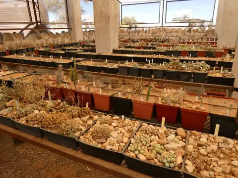 P1012671.JPG