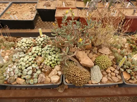 P1012673.JPG