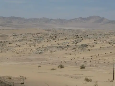 P1012734.JPG