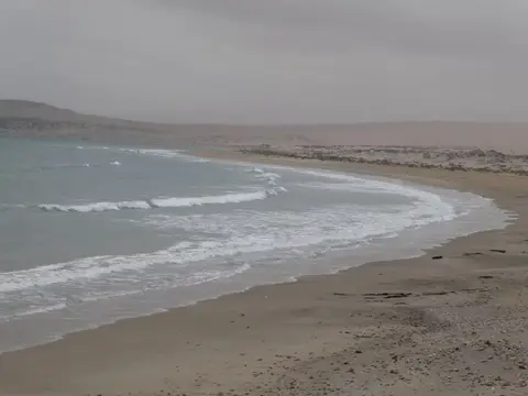 P1012764.JPG