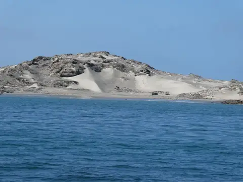 P1012878.JPG