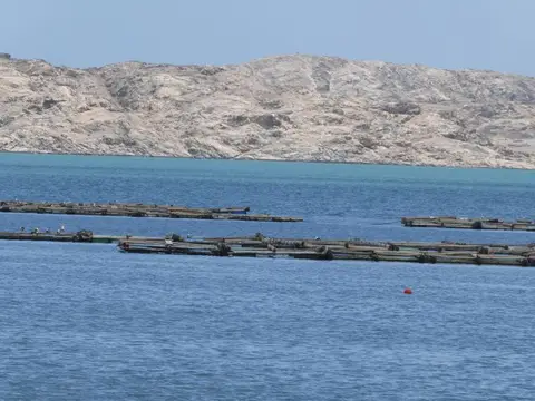 P1012901.JPG