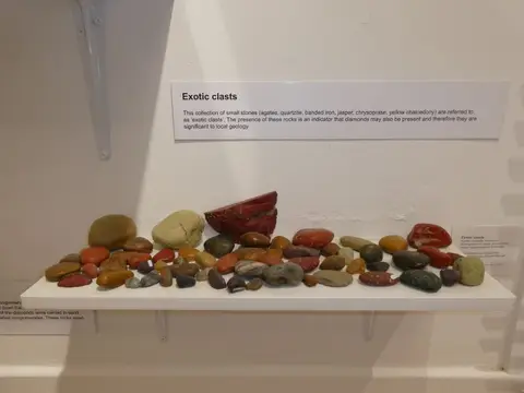 P1013117.JPG
