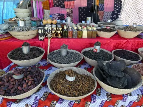 P1013166.JPG