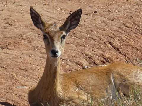P1050747.JPG