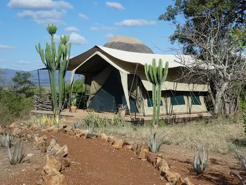 P1050800.JPG