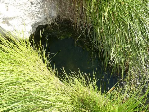 P1050837.JPG