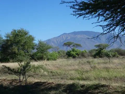 P1050840.JPG